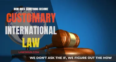 Customary International Law: How Norms Become Binding