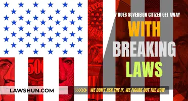 Sovereign Citizens: Exploiting Legal Loopholes and Evading Consequences