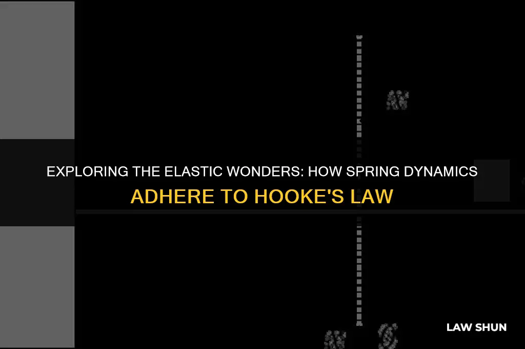 how does spring obey hooke law