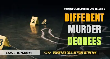 Murder Degrees: Substantive Law Explained