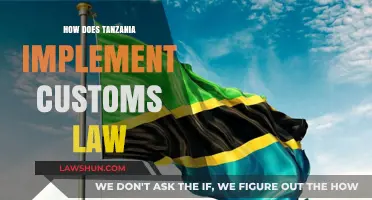 Navigating Tanzania's Customs Law: A Comprehensive Guide