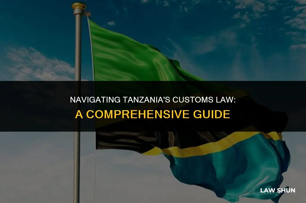 how does tanzania implement customs law