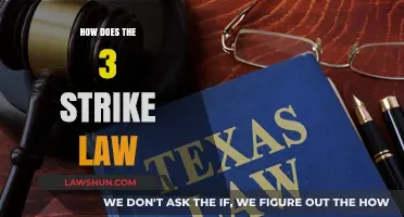 Understanding the Impact of Three-Strike Laws on Criminal Justice