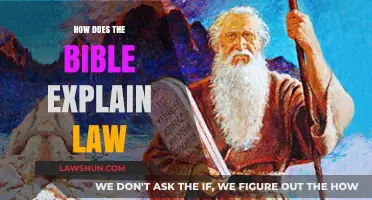 Divine Statutes: Unraveling the Bible's Blueprint for Righteous Living