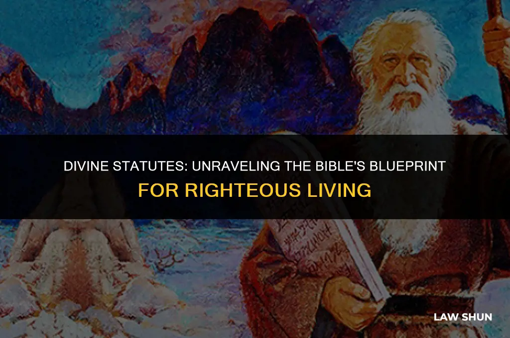 how does the bible explain law