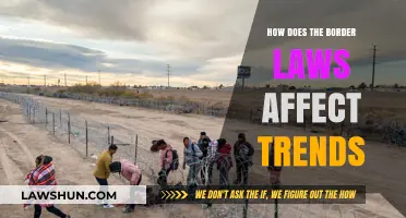 Border Laws' Impact on Global Trends: Shaping Trade, Migration, and Culture