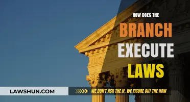 The Mechanics of Justice: How the Judiciary Branch Executes Laws