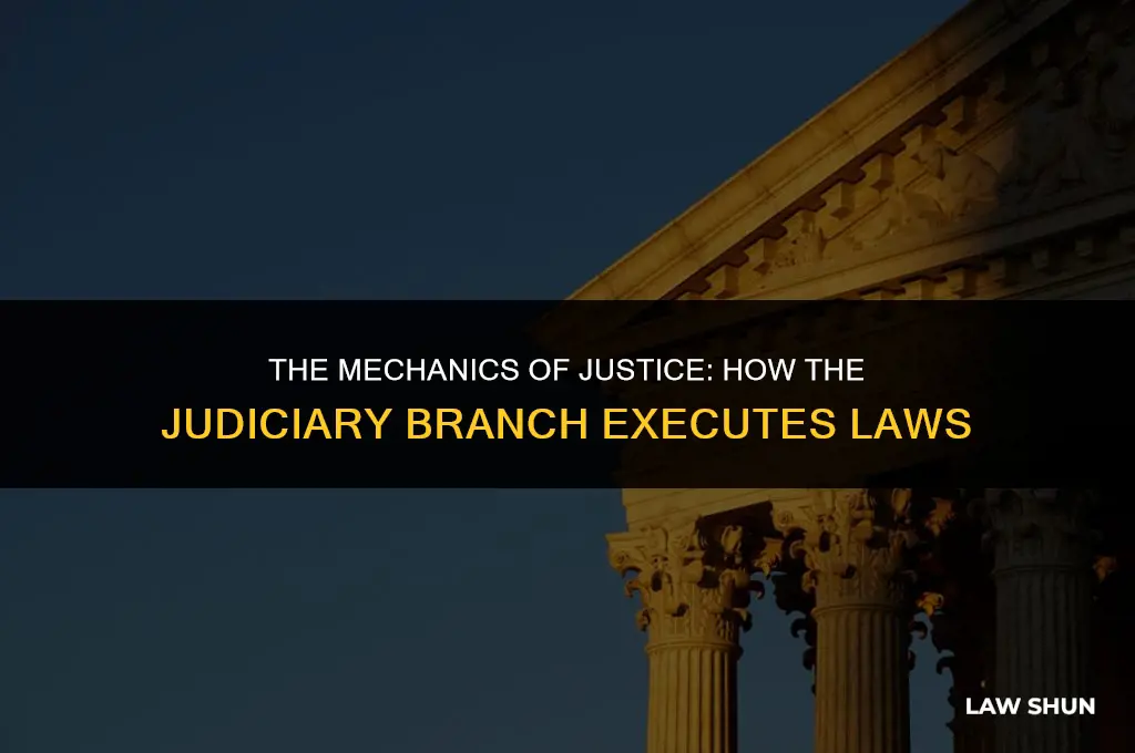 how does the branch execute laws