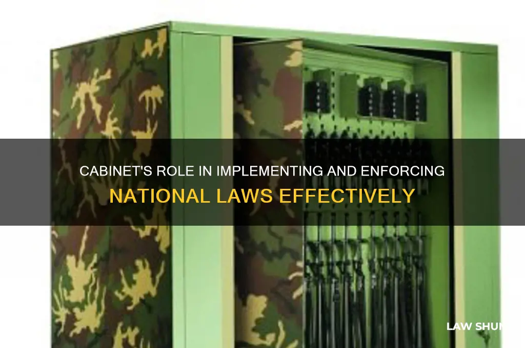 how does the cabinet execute the law of the country