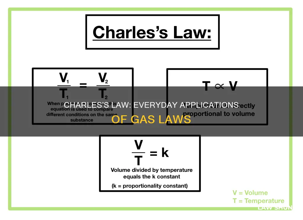 how does the charles law apply to you