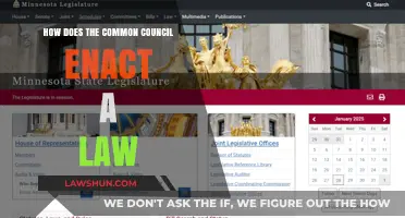 Council's Lawmaking Process: A Step-by-Step Guide