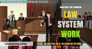 Understanding the Common Law System: How It Works
