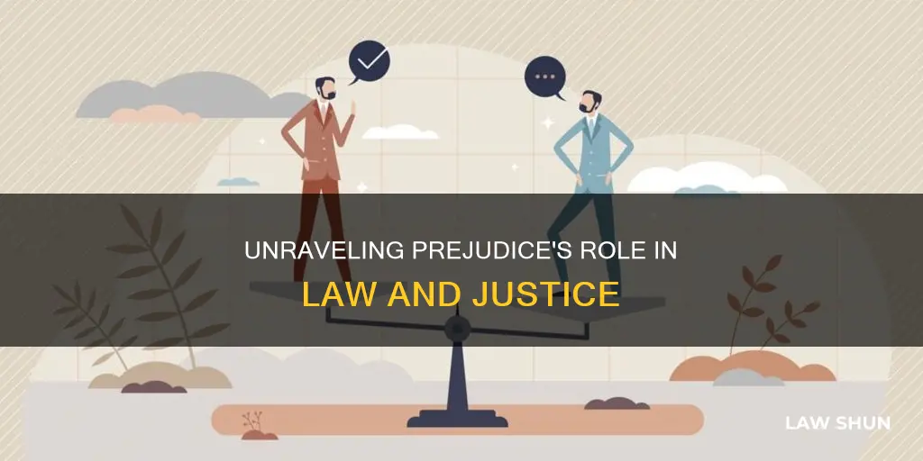 how does the concept of prejudice apply to law