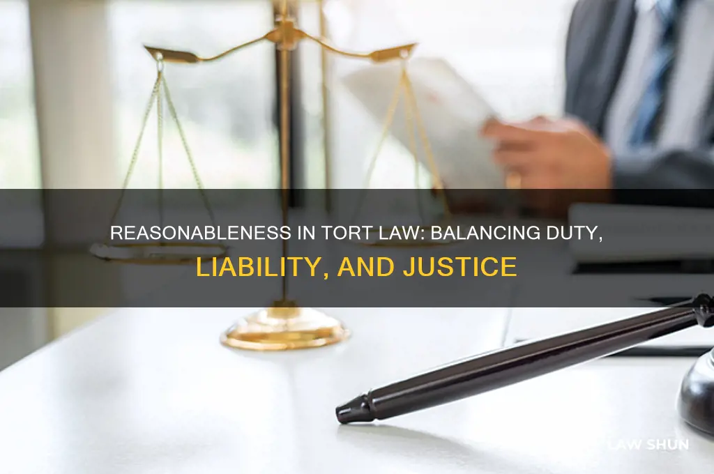 how does the concept of reasonableness relate to tort law