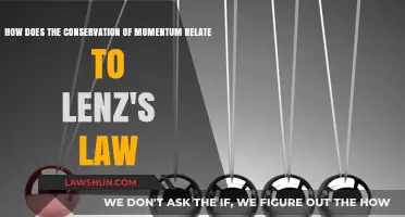 Momentum Conservation and Lenz's Law: Uniting Physics Principles