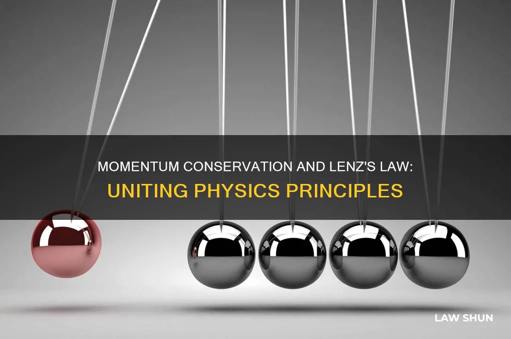 how does the conservation of momentum relate to lenz