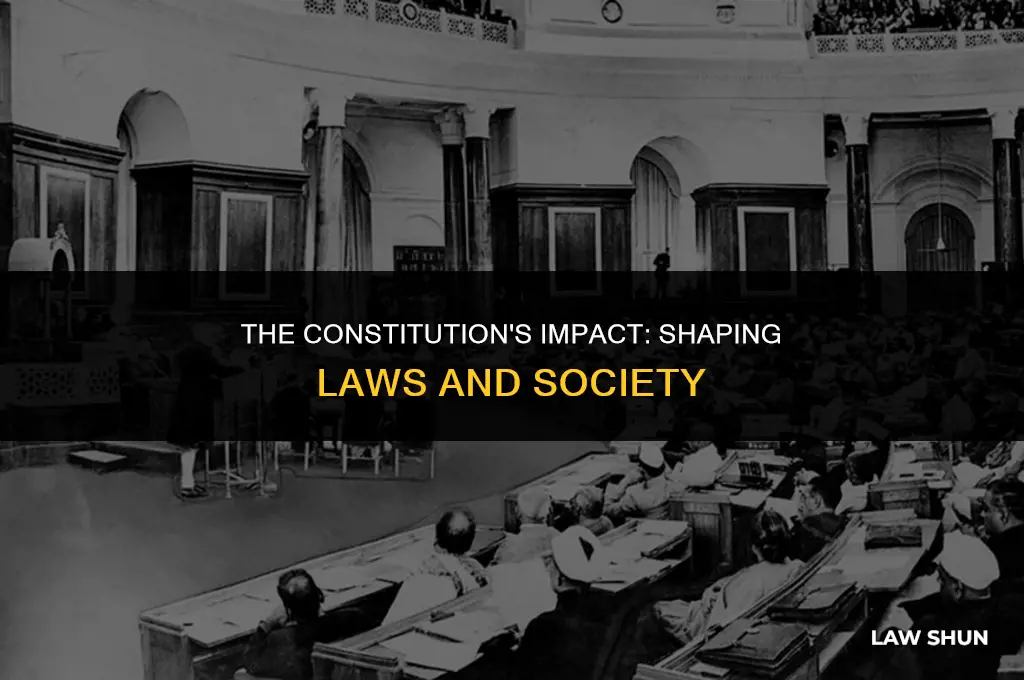 how does the constituion influence law