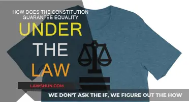 The Constitution: Equality Under Law