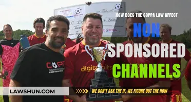 COPPA's Impact on Non-Sponsored Channels: Compliance Challenges and Solutions