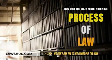 Death Penalty's Due Process Denial: A Legal and Moral Crisis