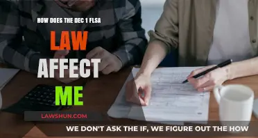 Understanding the December 1 FLSA Law Changes: Impact on Your Pay and Rights
