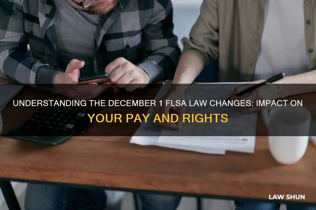 how does the dec 1 flsa law affect me