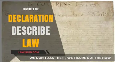 Exploring the Declaration: A Deep Dive into Legal Descriptions