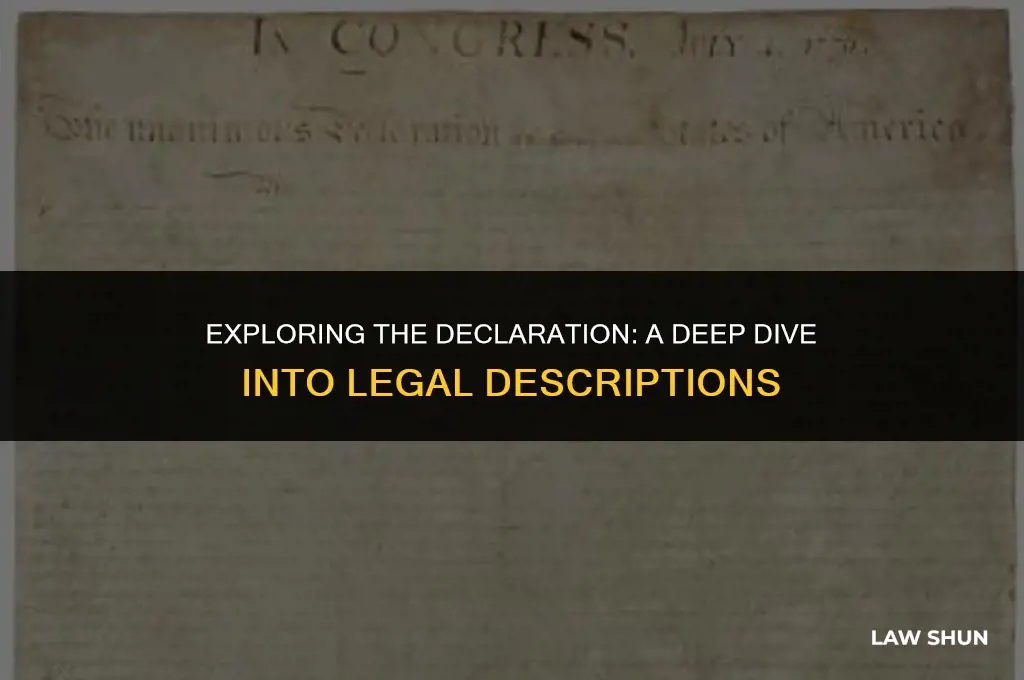how does the declaration describe law
