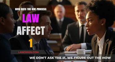 Understanding Due Process Law's Impact on Individual Rights and Protections