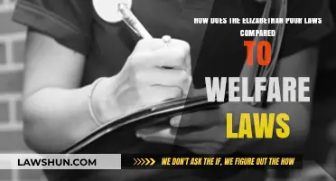Elizabethan Poor Laws vs. Modern Welfare: A Comparative Analysis