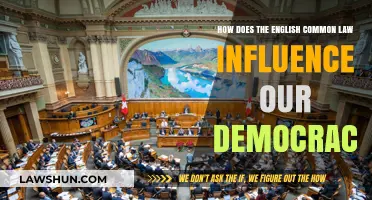 Common Law's Influence on Democracy