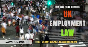 UK Employment Law: The EU Influence