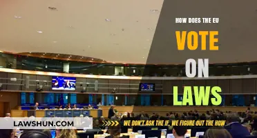 Understanding the EU's Legislative Voting Process: A Comprehensive Guide