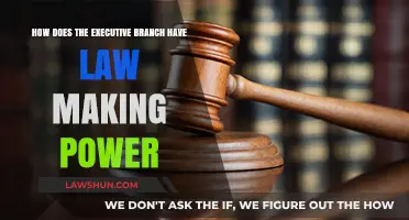 Executive Branch's Law-Making Power: Understanding Its Role and Limits