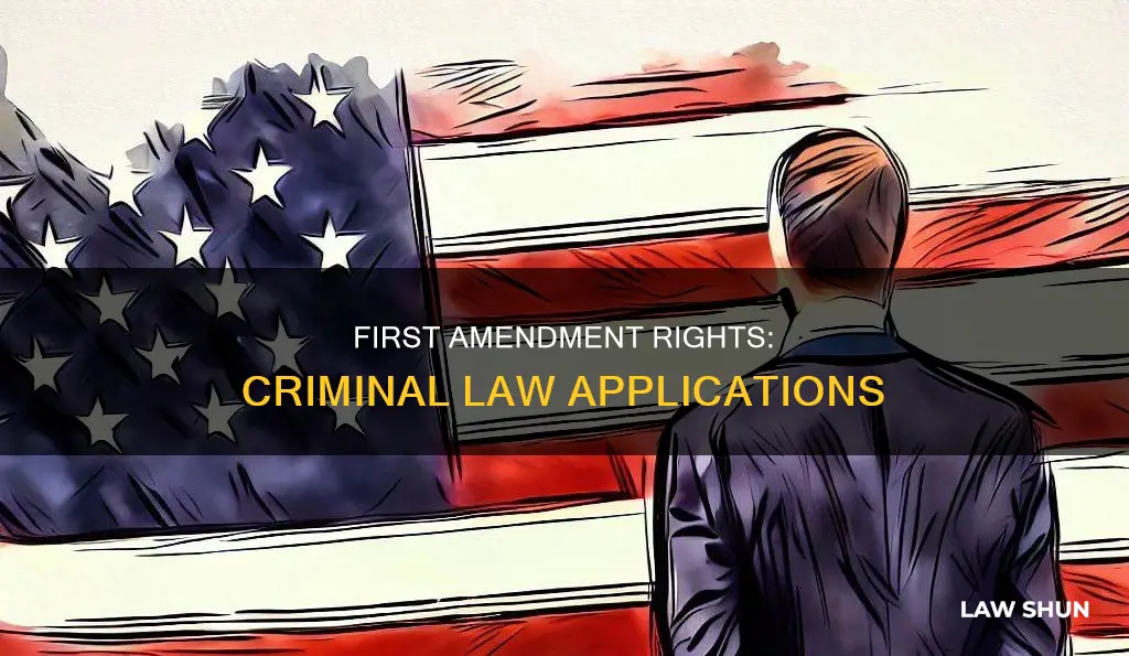 how does the first amendment apply in criminal law