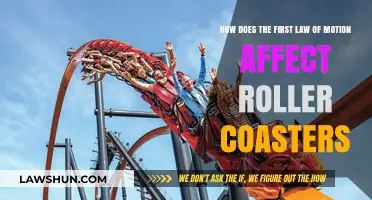 The First Law of Motion: Roller Coasters in Action