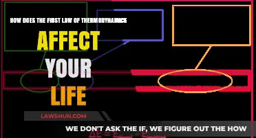 The First Law of Thermodynamics: Energy in Your Life