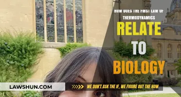 The First Law of Thermodynamics: Biology's Energy Rule