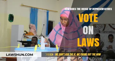 Understanding the House of Representatives' Law Voting Process
