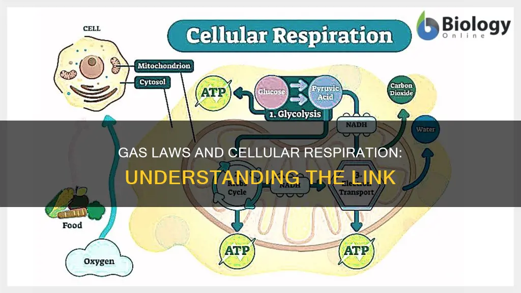 how does the ideal gas law apply to cellular respiration