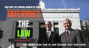 Georgia's Judicial Branch: Interpreting State Law and Its Impact