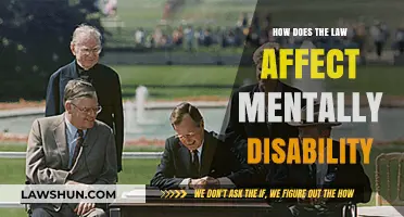 Legal Impact on Mental Disability: Rights, Protections, and Challenges Explored