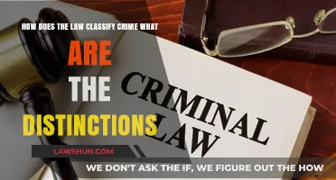 Understanding Crime Classification: Legal Distinctions and Categorizations Explained