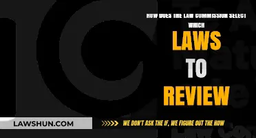 Understanding the Law Commission's Criteria for Selecting Laws to Review