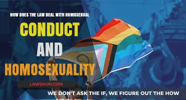 Legal Perspectives on Homosexual Conduct and Identity: Global Trends and Challenges