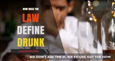 Understanding Intoxication: Legal Definitions of Drunkenness Explained