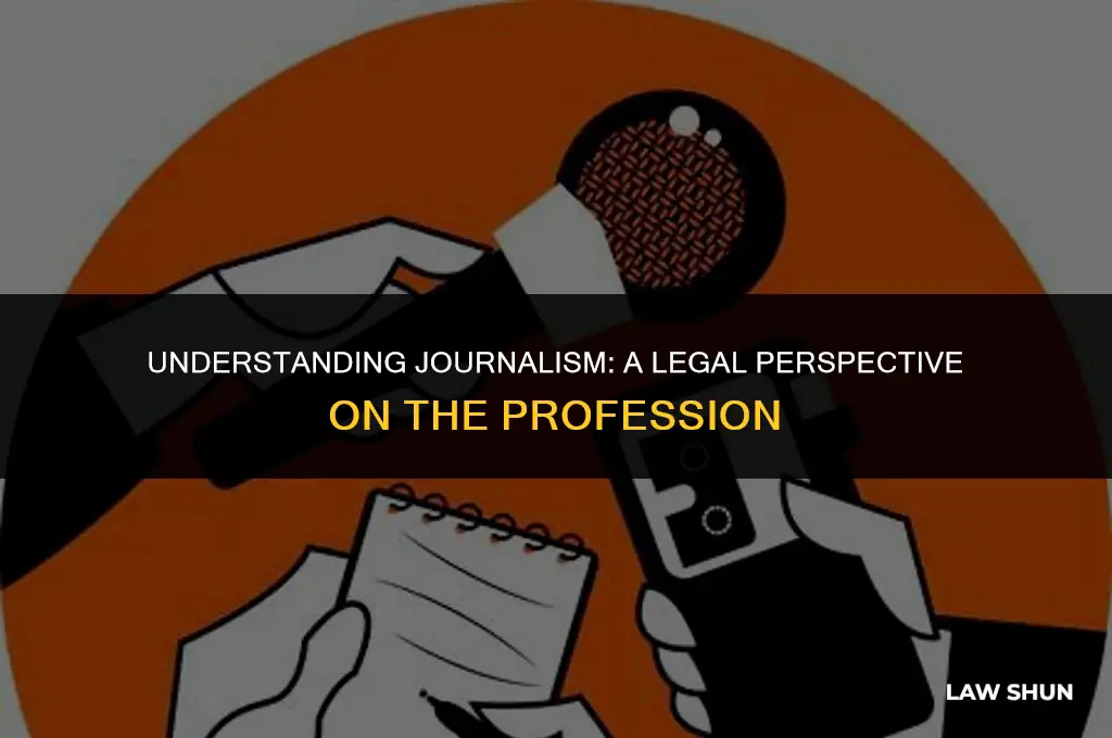 how does the law define journalist