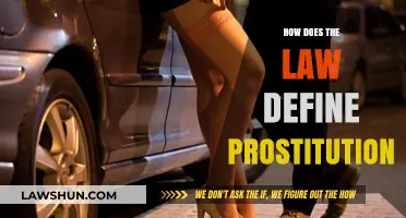 Understanding Prostitution: A Legal Perspective on the Profession