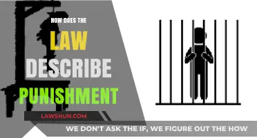 Understanding Punishment: A Legal Perspective on Consequences