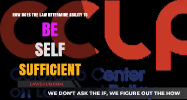 Legal Criteria for Assessing Self-Sufficiency: Understanding the Determination Process